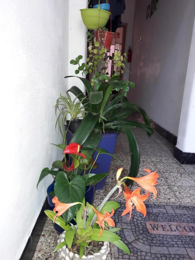 Enmicasassj-Rosario Apartment ภายนอก รูปภาพ